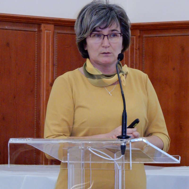 Zöldváros- projektzáró 36